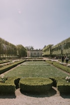 a large green garden
