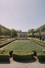 a large green garden