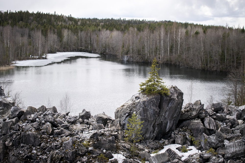 a lake with trees and rocks