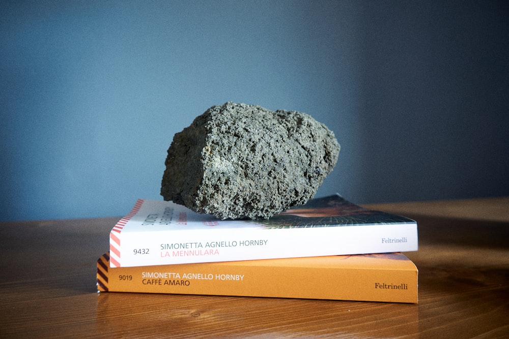 a rock on top of a stack of books
