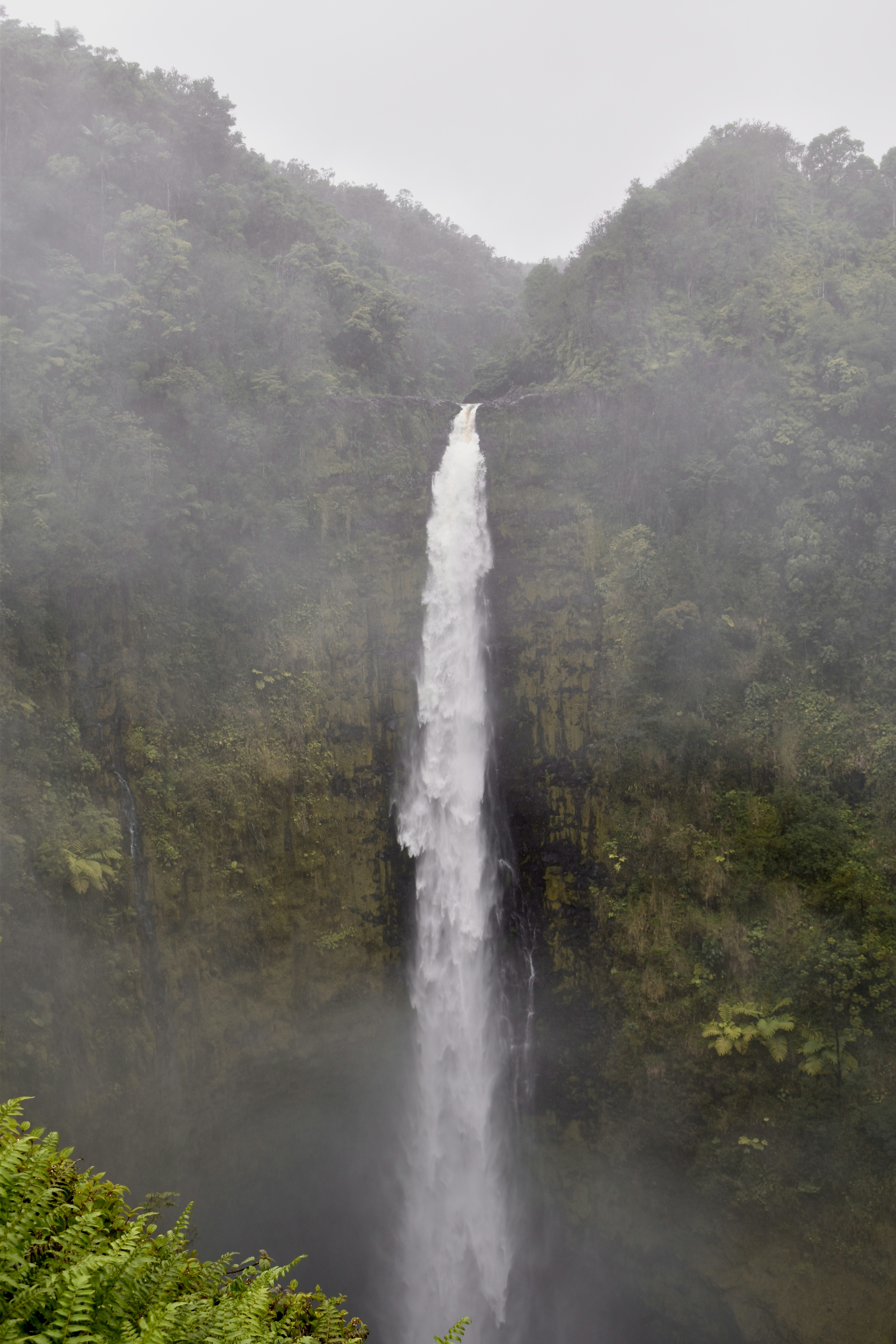 Photo by logan_easterling