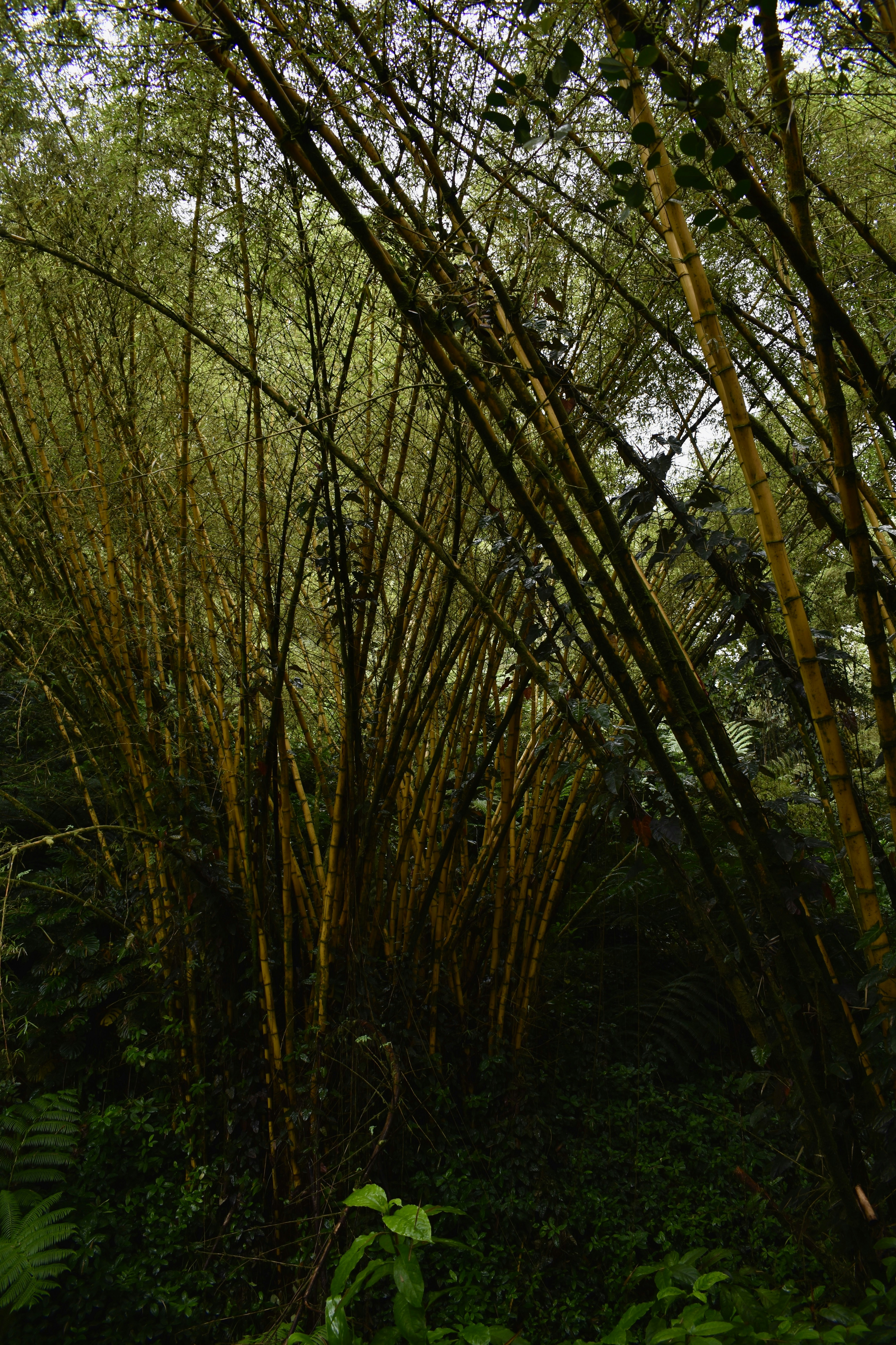 Photo by logan_easterling