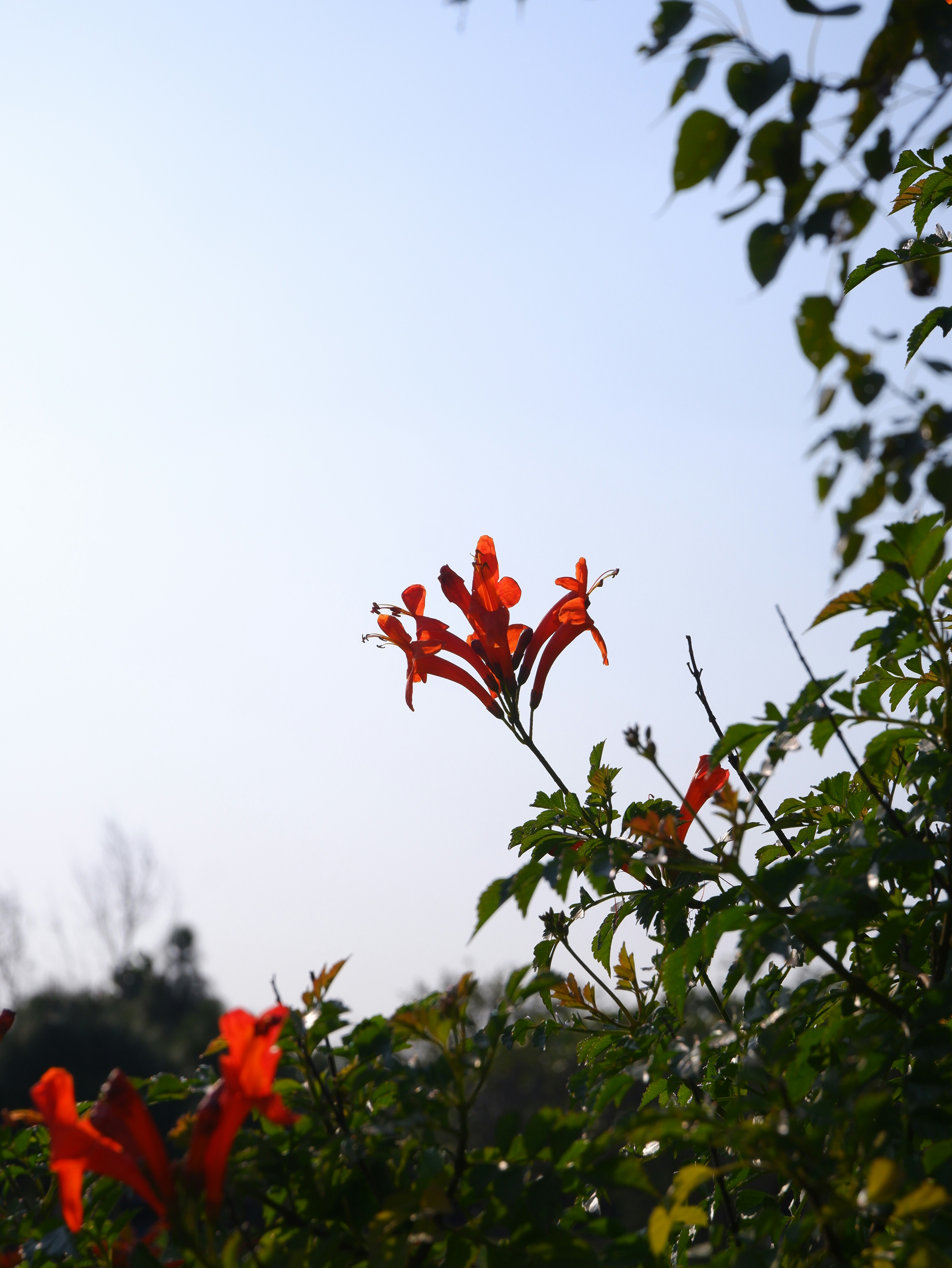 Photo by rakshityadav190