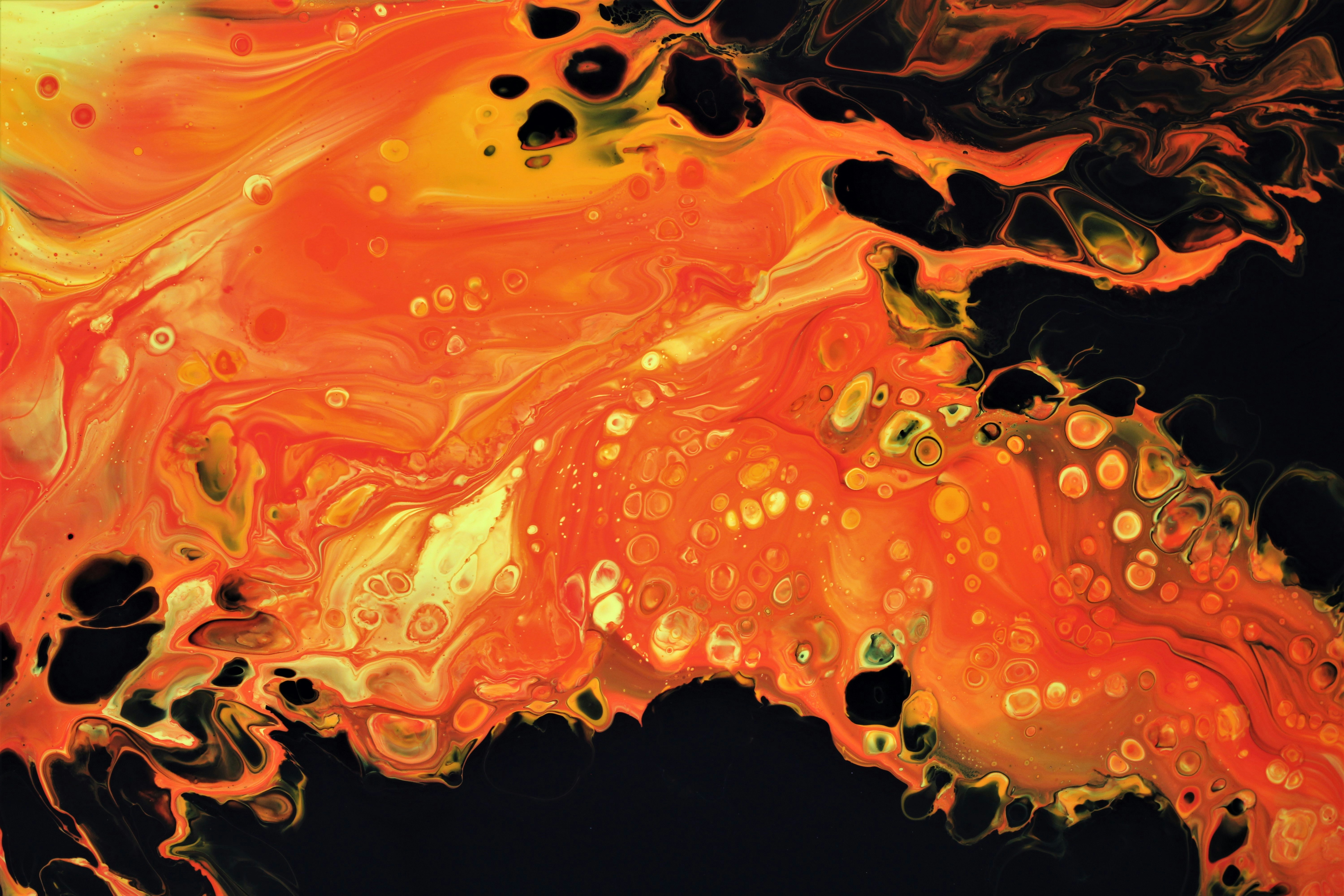 Photo by susan_wilkinson