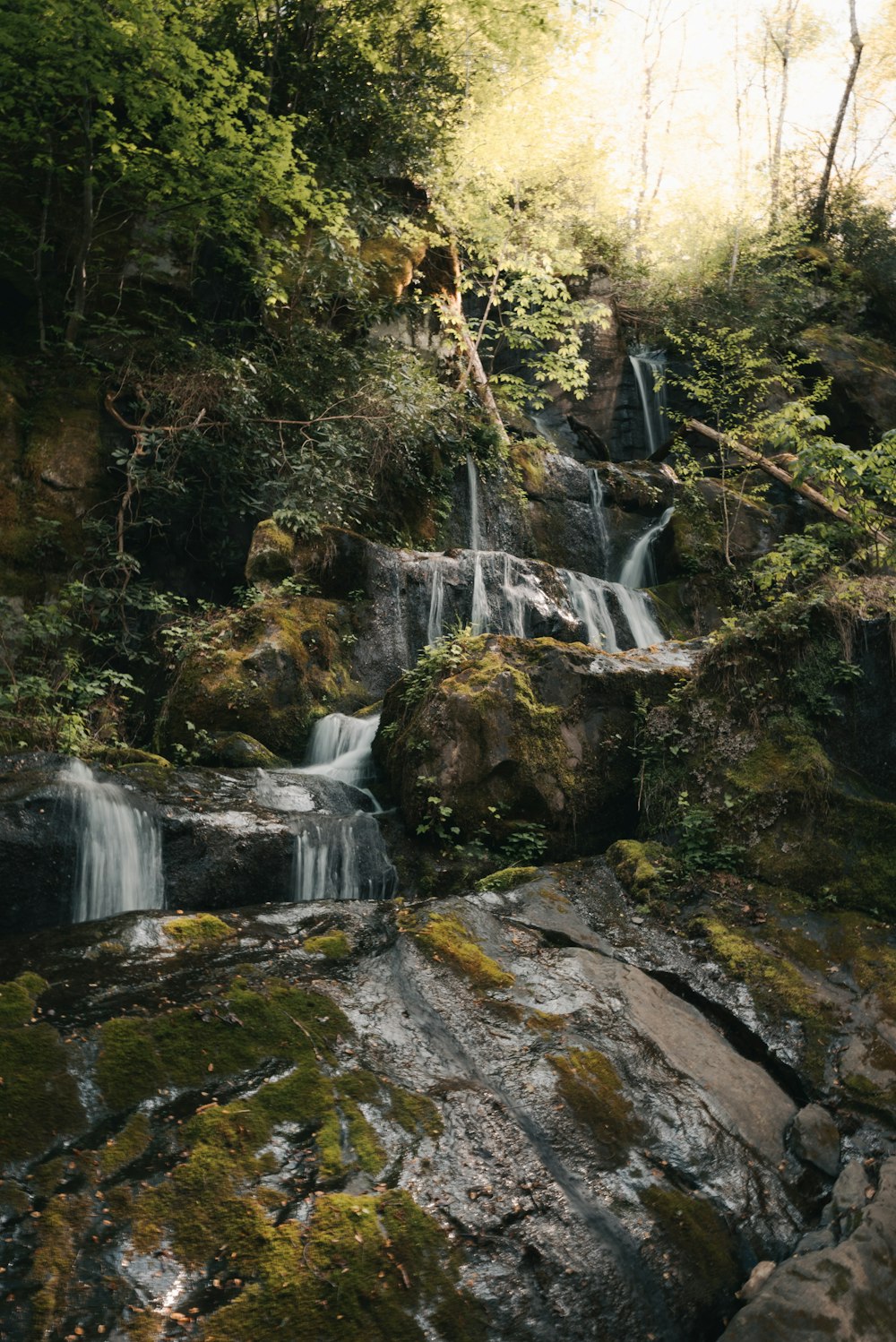 a waterfall in a forest