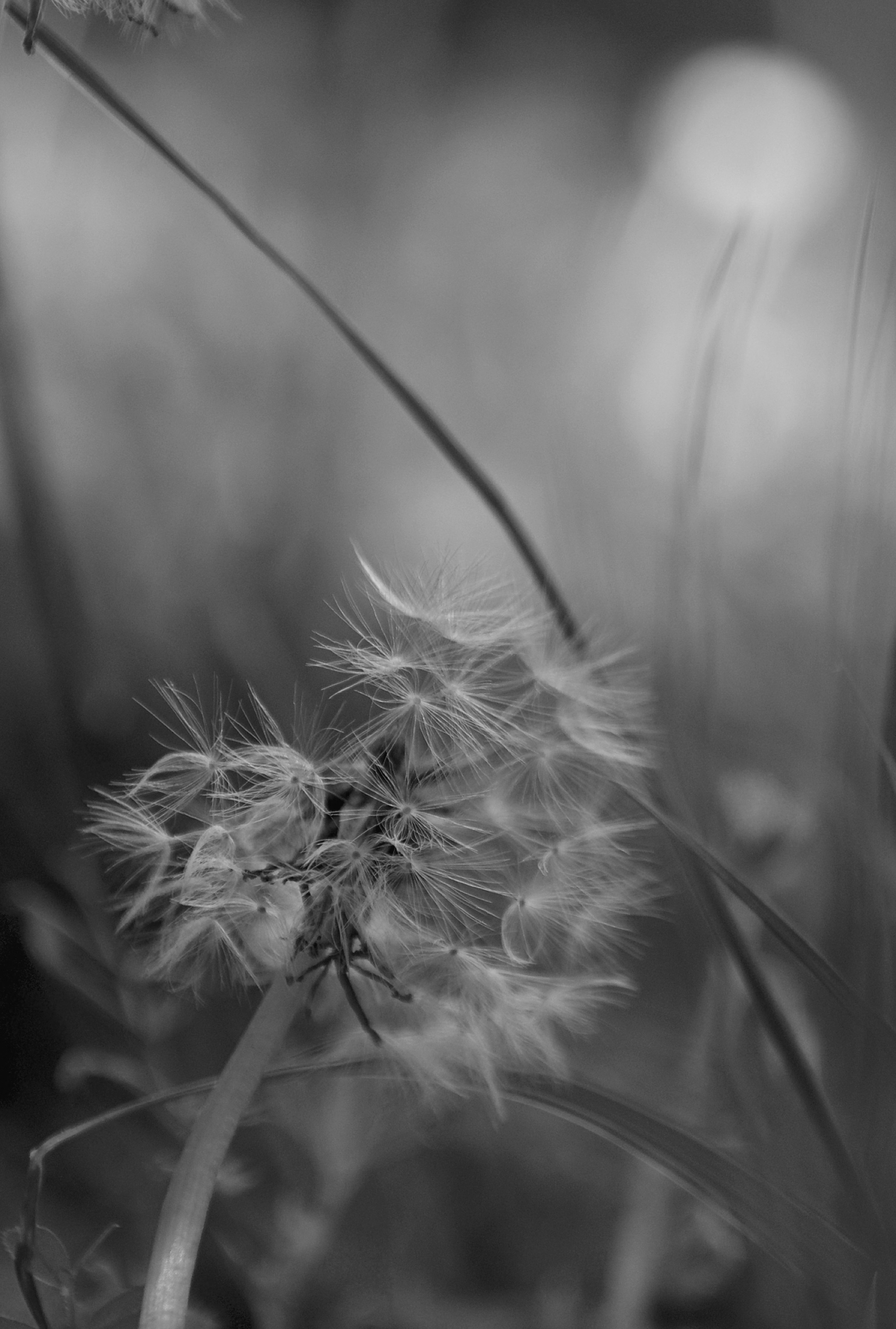 Photo by mariobeducci