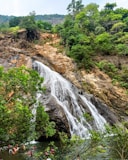 a waterfall in a forest