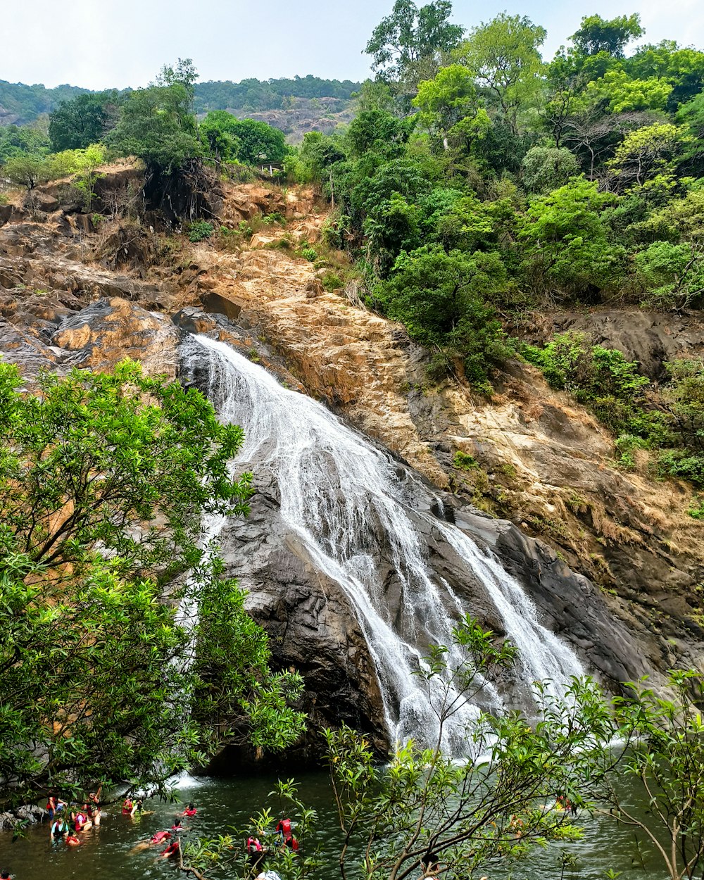 a waterfall in a forest