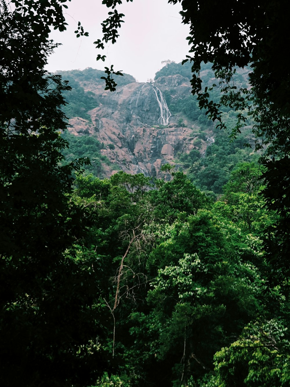 a waterfall in a forest