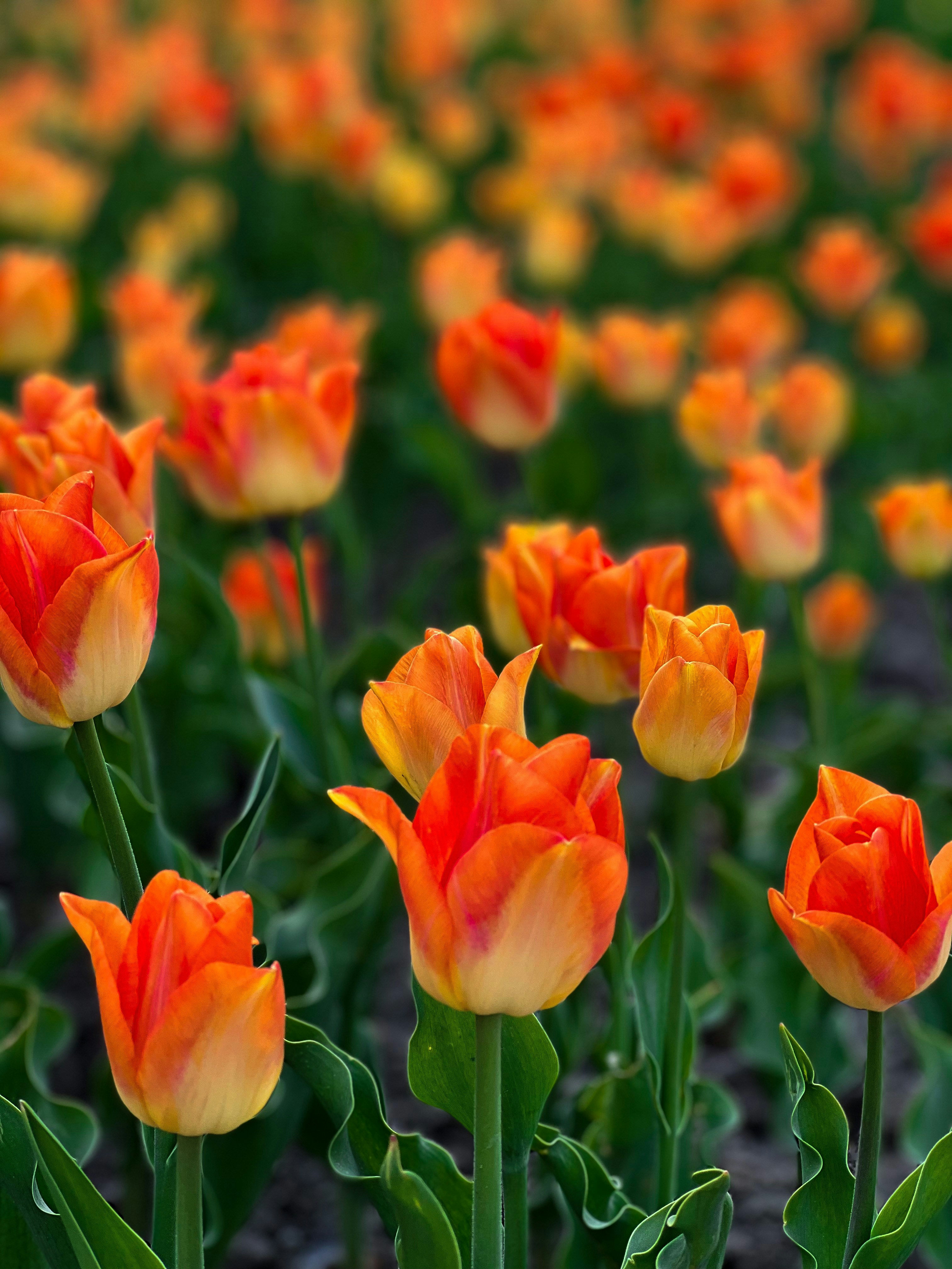 Photo by nattalia_24