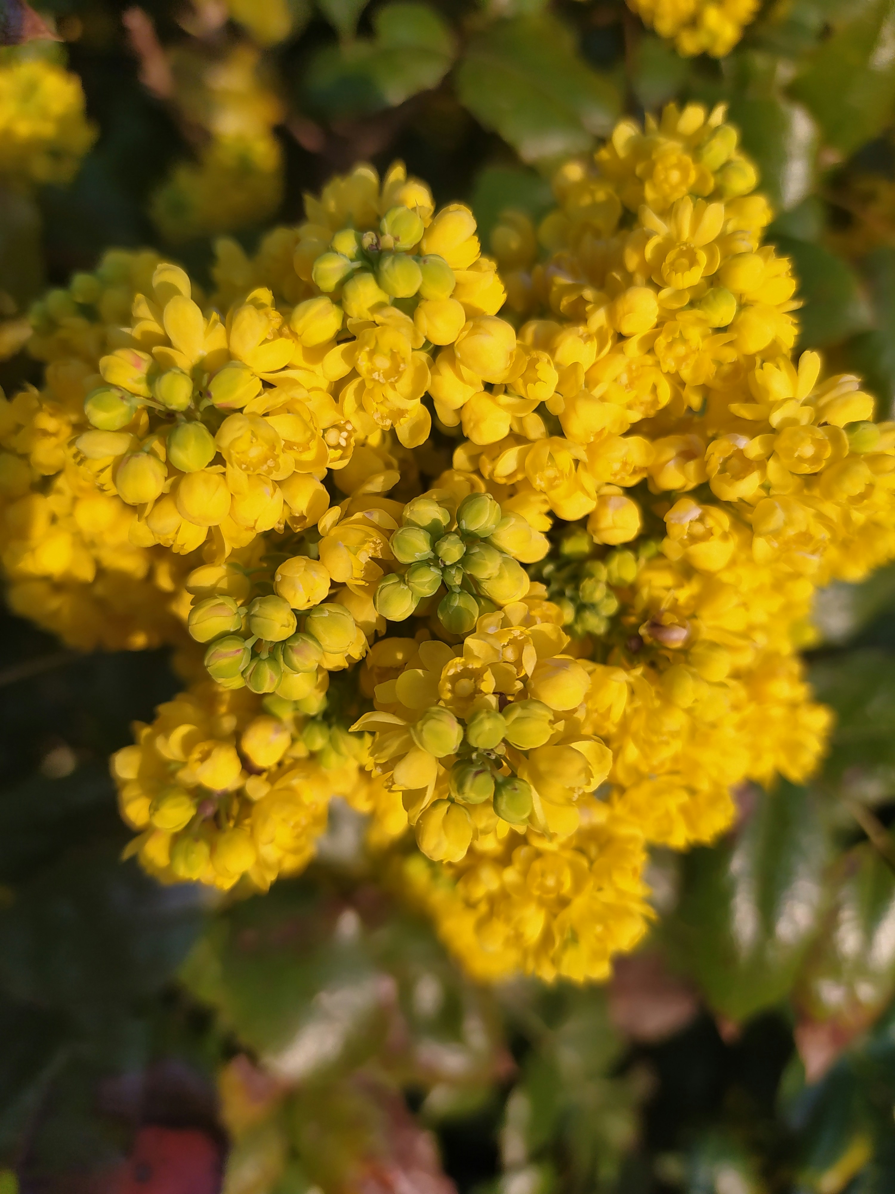 Photo by helen_zahrai