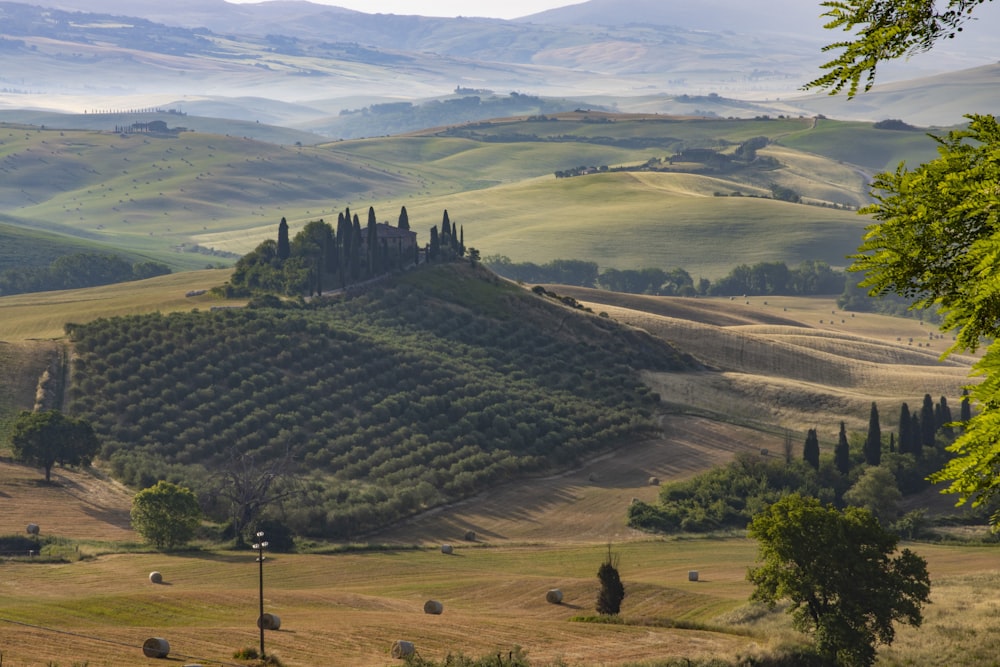 Un paisaje con colinas y árboles