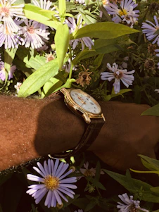 A close-up of a rose gold nurse watch on a nurse's wrist, softly lit against a neutral hospital background.