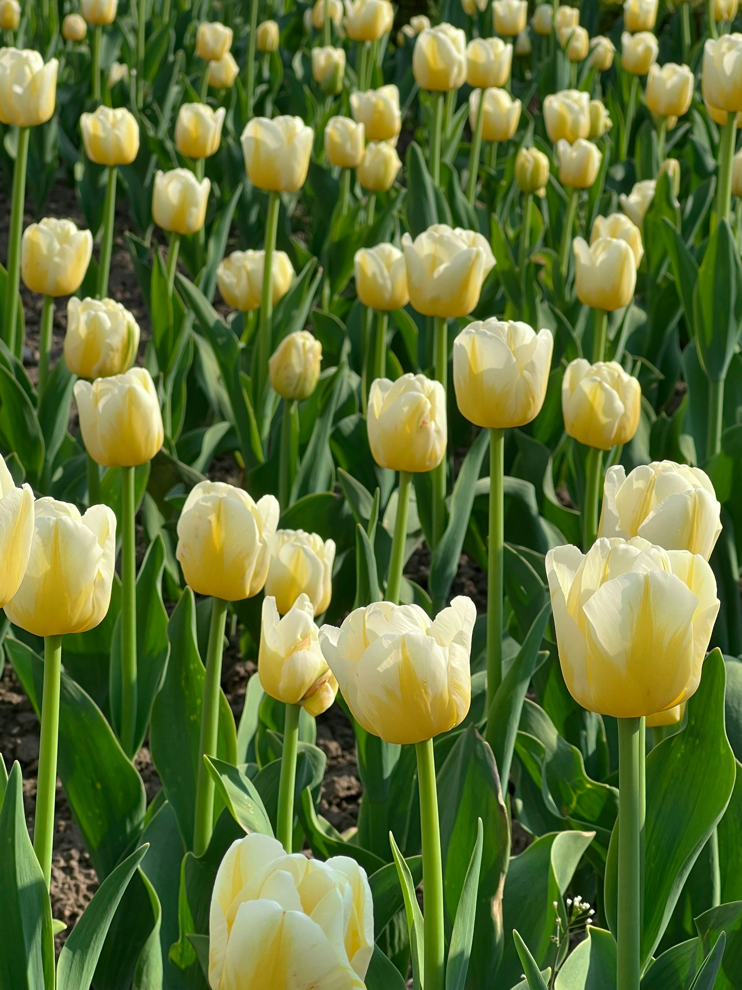 Photo by nattalia_24