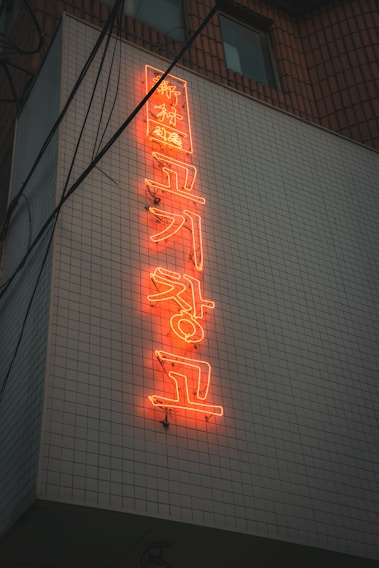Vertical neon sign in red lettering displayed on a white tiled wall of a building. The sign features characters that appear to be in a non-English script. Electrical wires are visible running alongside the building. The overall scene has a muted and slightly dark ambiance, suggesting it might be either dusk or a gloomy day.
