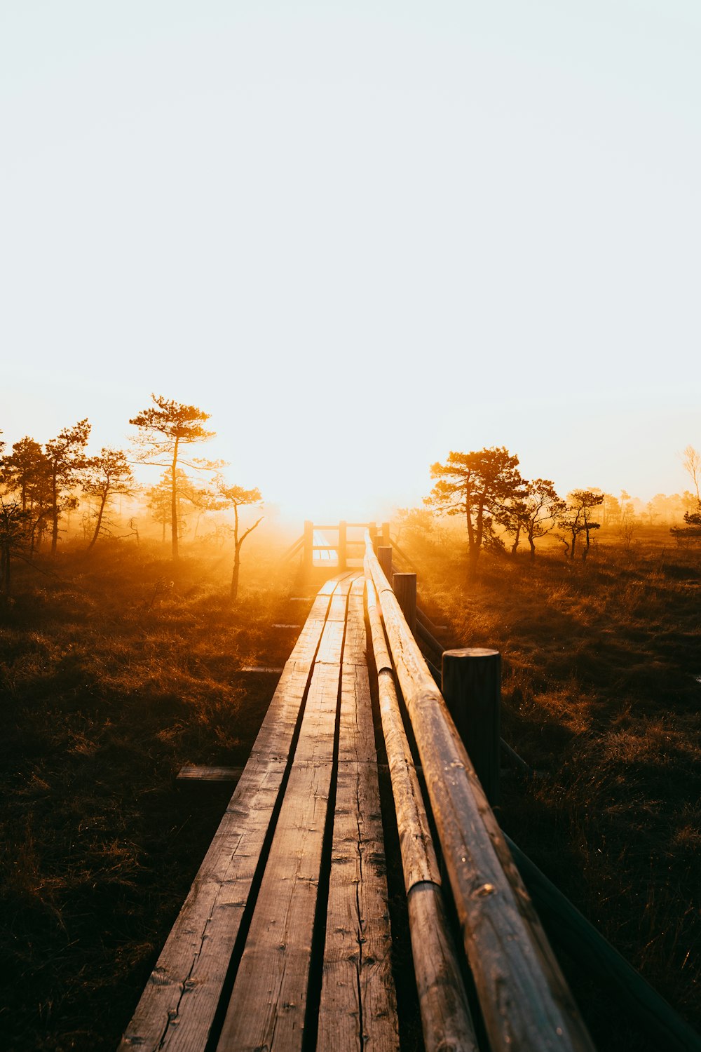 a wooden bridge over a grassy field