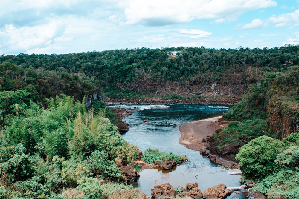 a river with rocks and trees