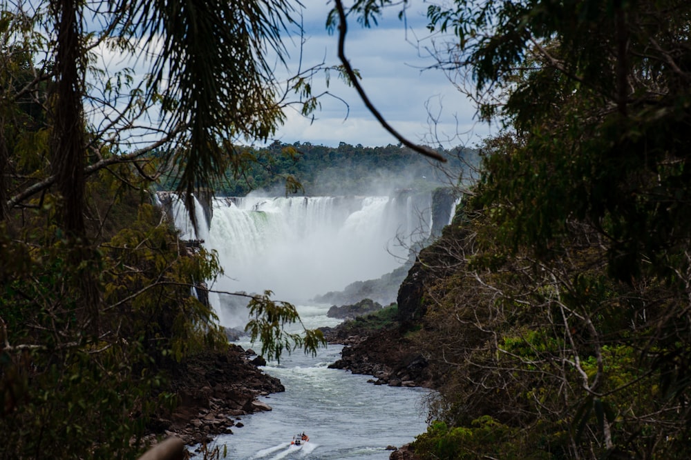 a waterfall in a forest