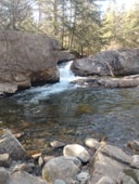 a river with rocks and trees