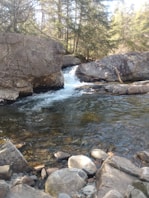 a river with rocks and trees