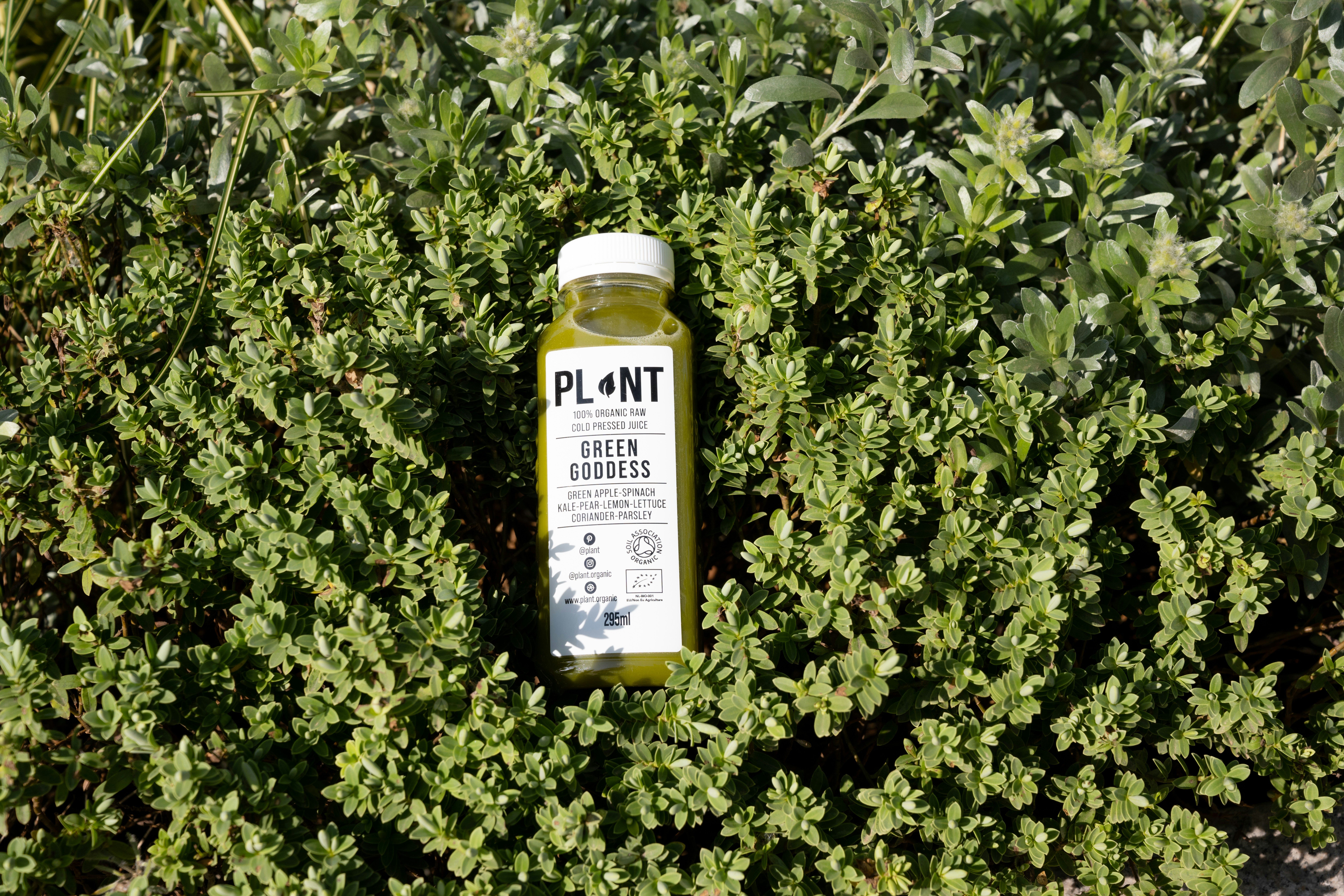 Crimson Harmony bottle and glass