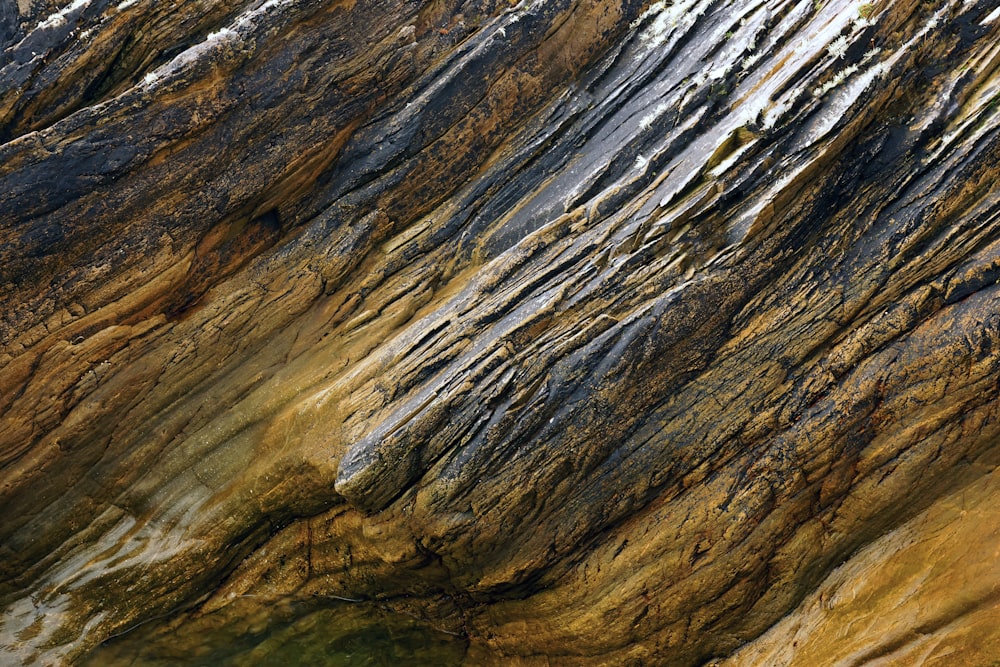 a close-up of a rock