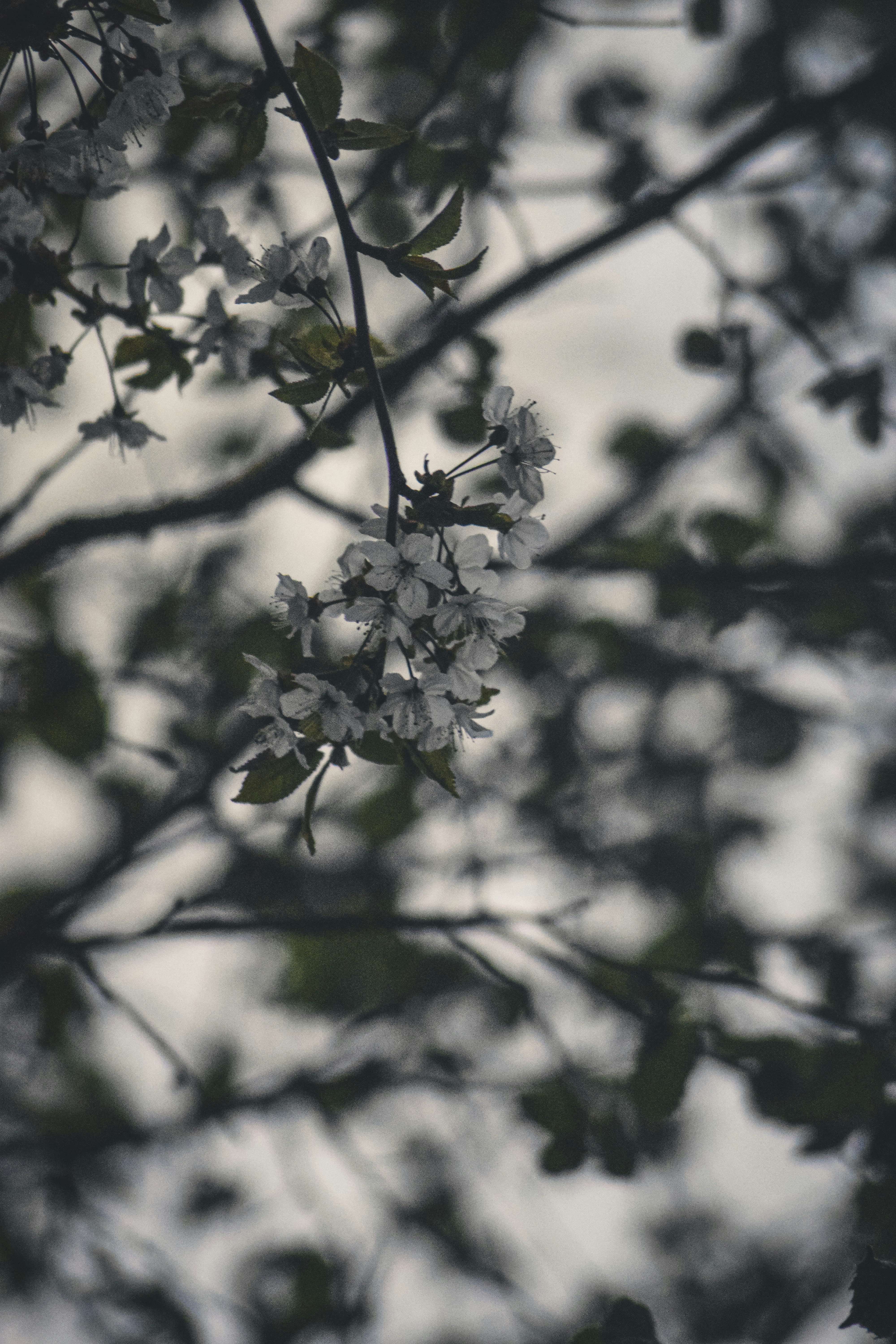 Photo by force_creates
