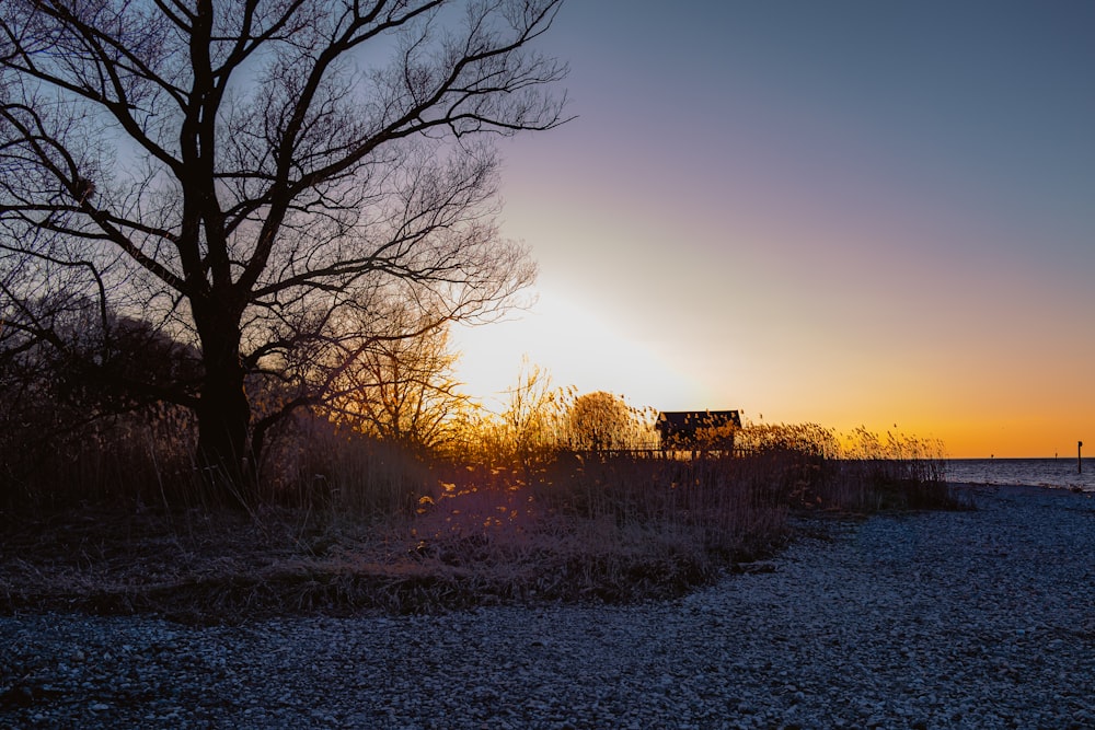 Una puesta de sol sobre un campo