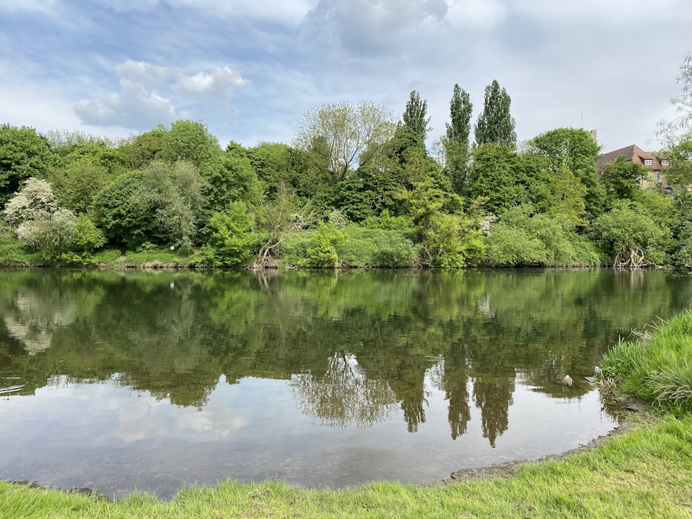 a body of water with trees around it