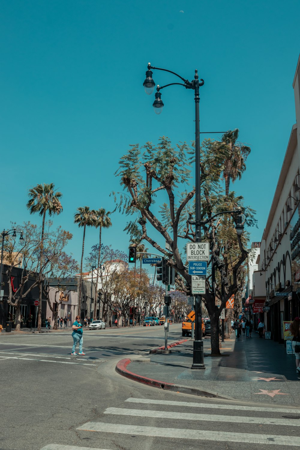 a street corner with palm trees