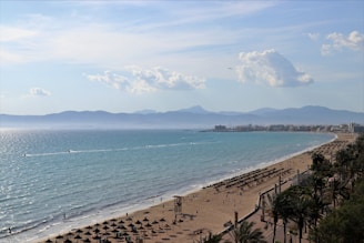 a beach with a body of water