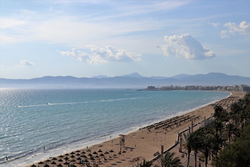 a beach with a body of water