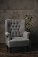 a white couch with a plant on it