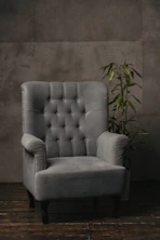 a white couch with a plant on it
