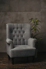 a white couch with a plant on it