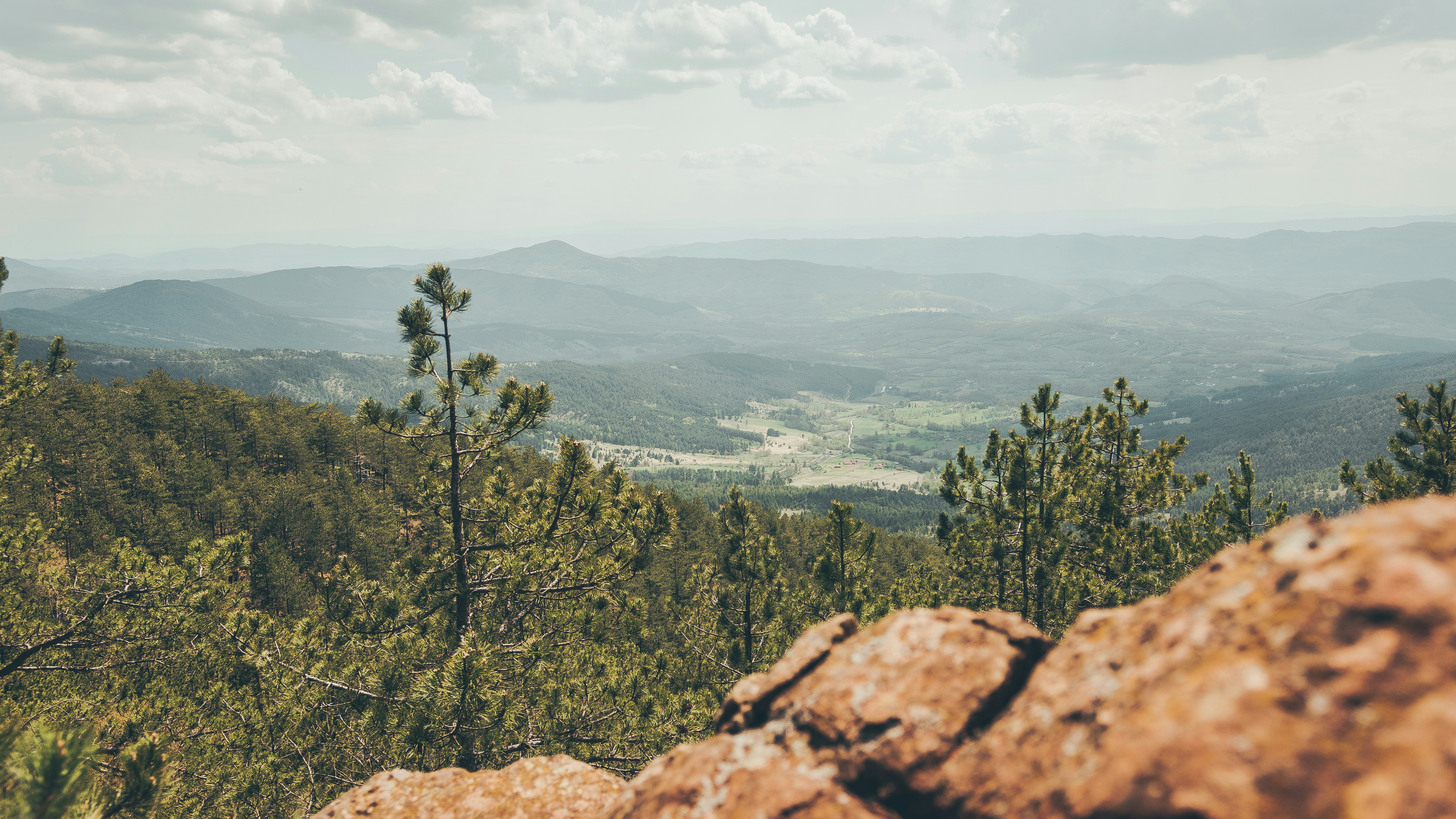 Photo by milica_spasojevic