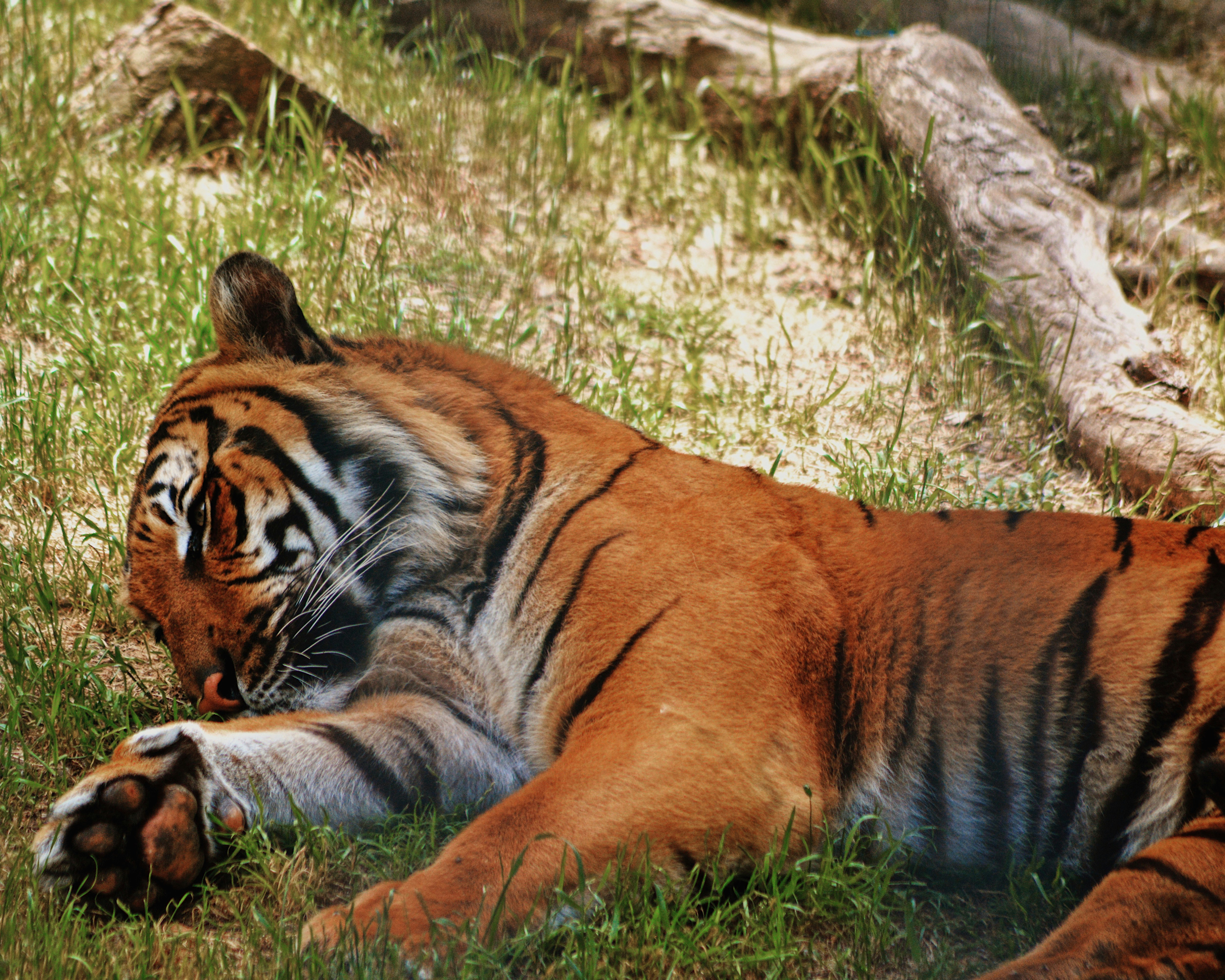 Photo by taylorngregory