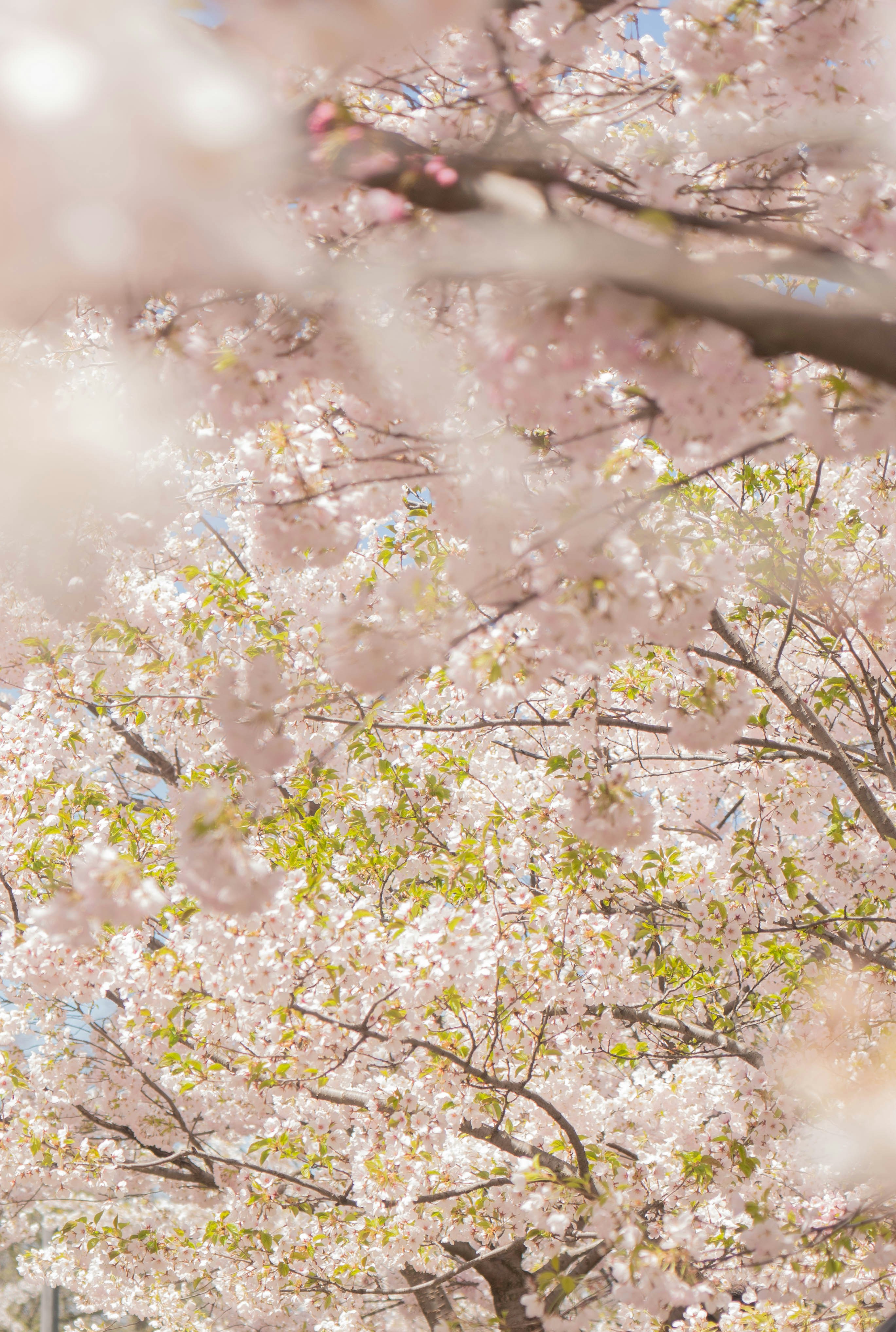 Photo by daisylovesfilmgrain