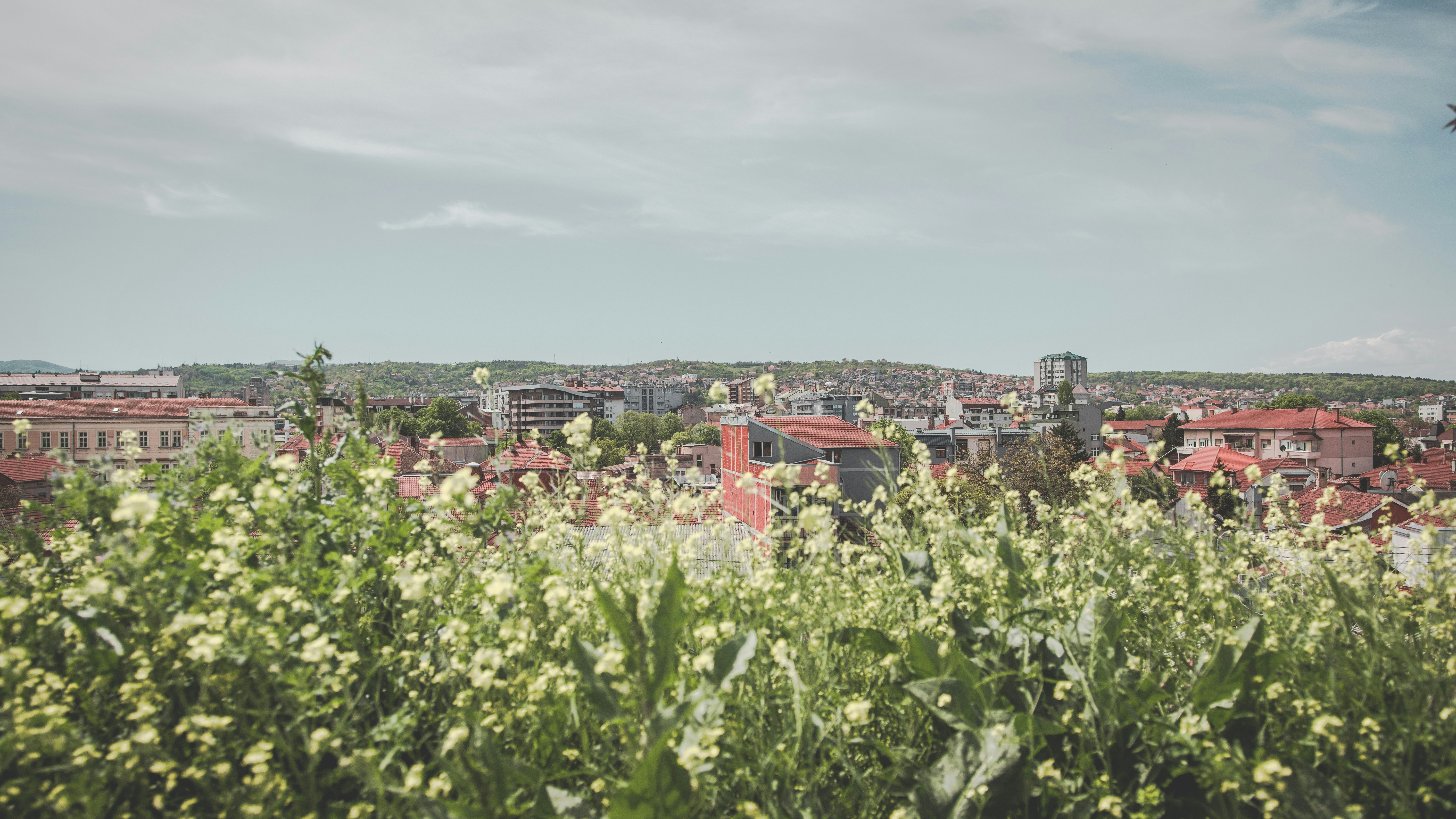 Photo by milica_spasojevic