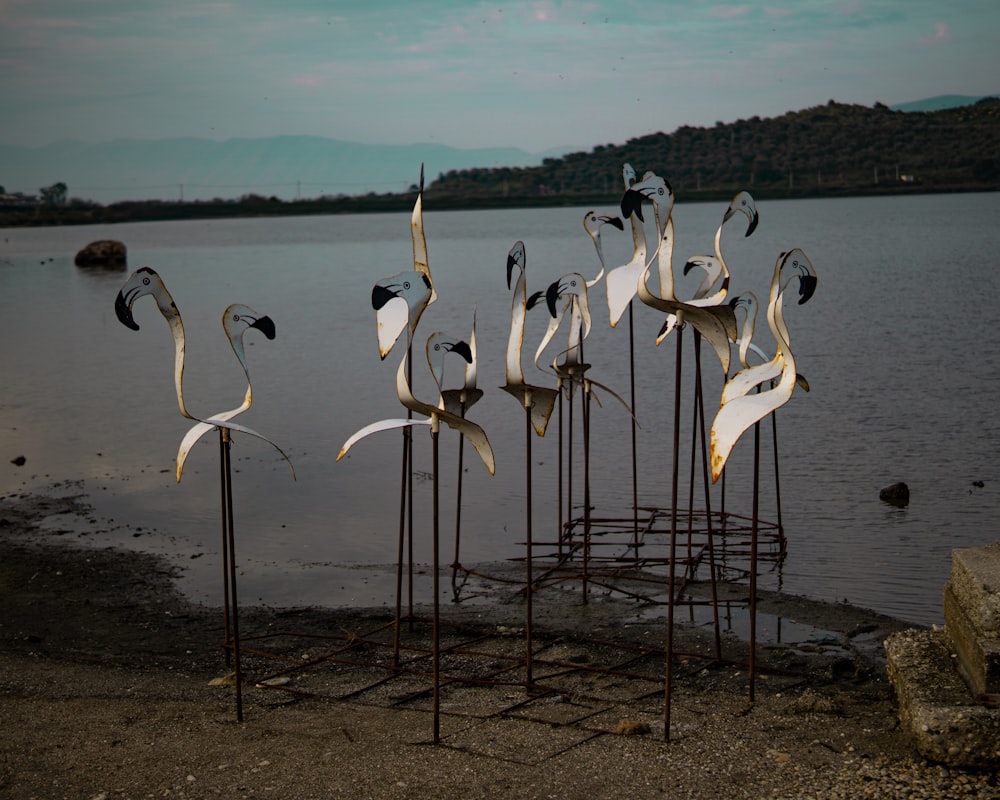 a group of white birds on sticks in front of a body of water