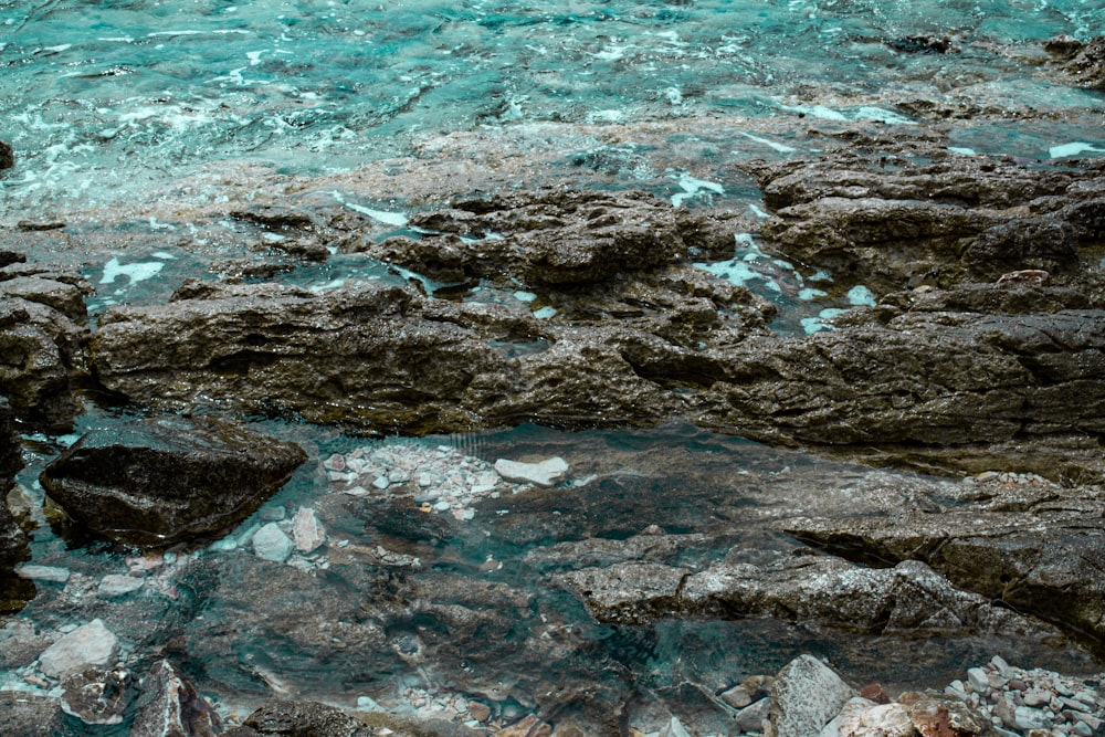 a rocky beach with a body of water in the background