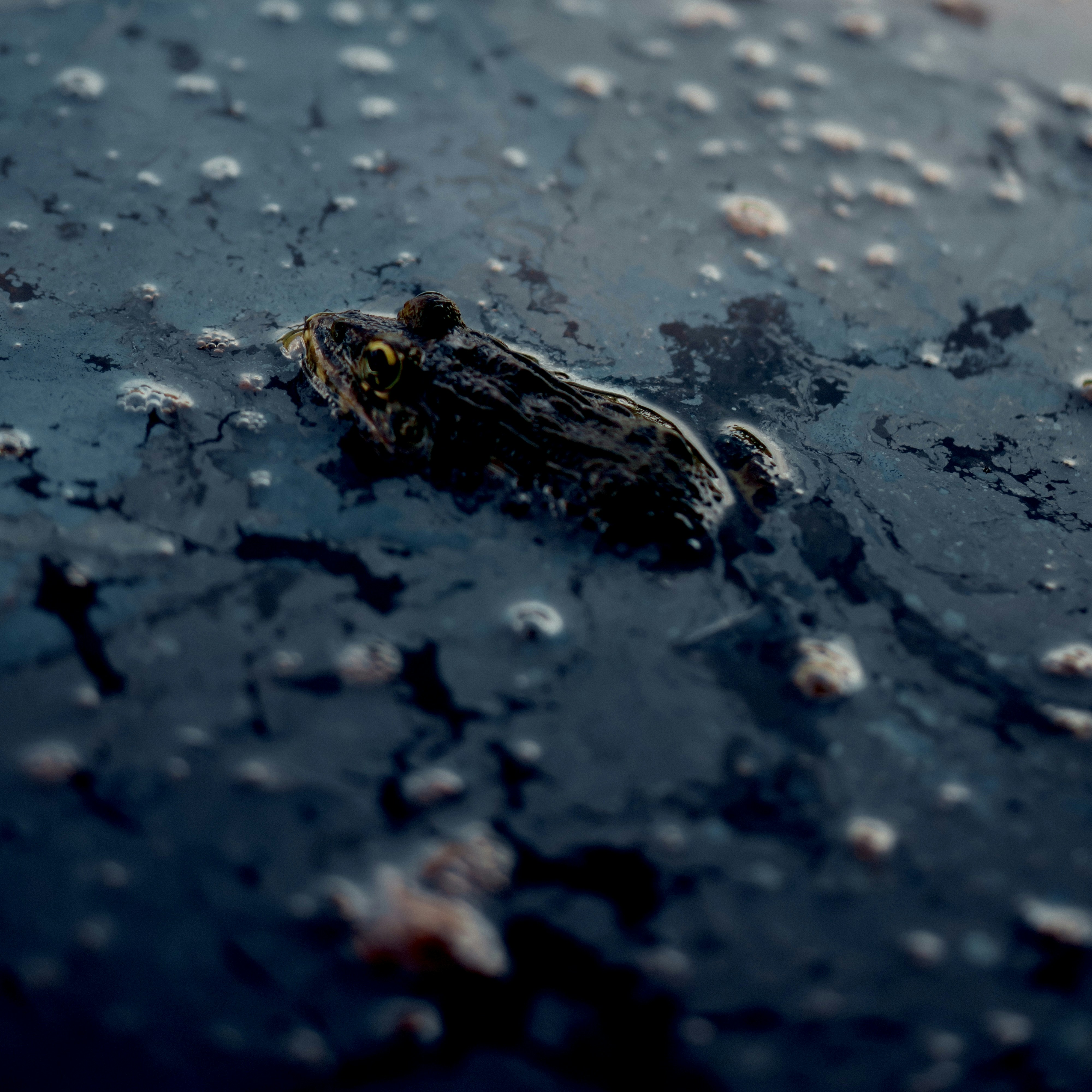 Photo by kensvisionx