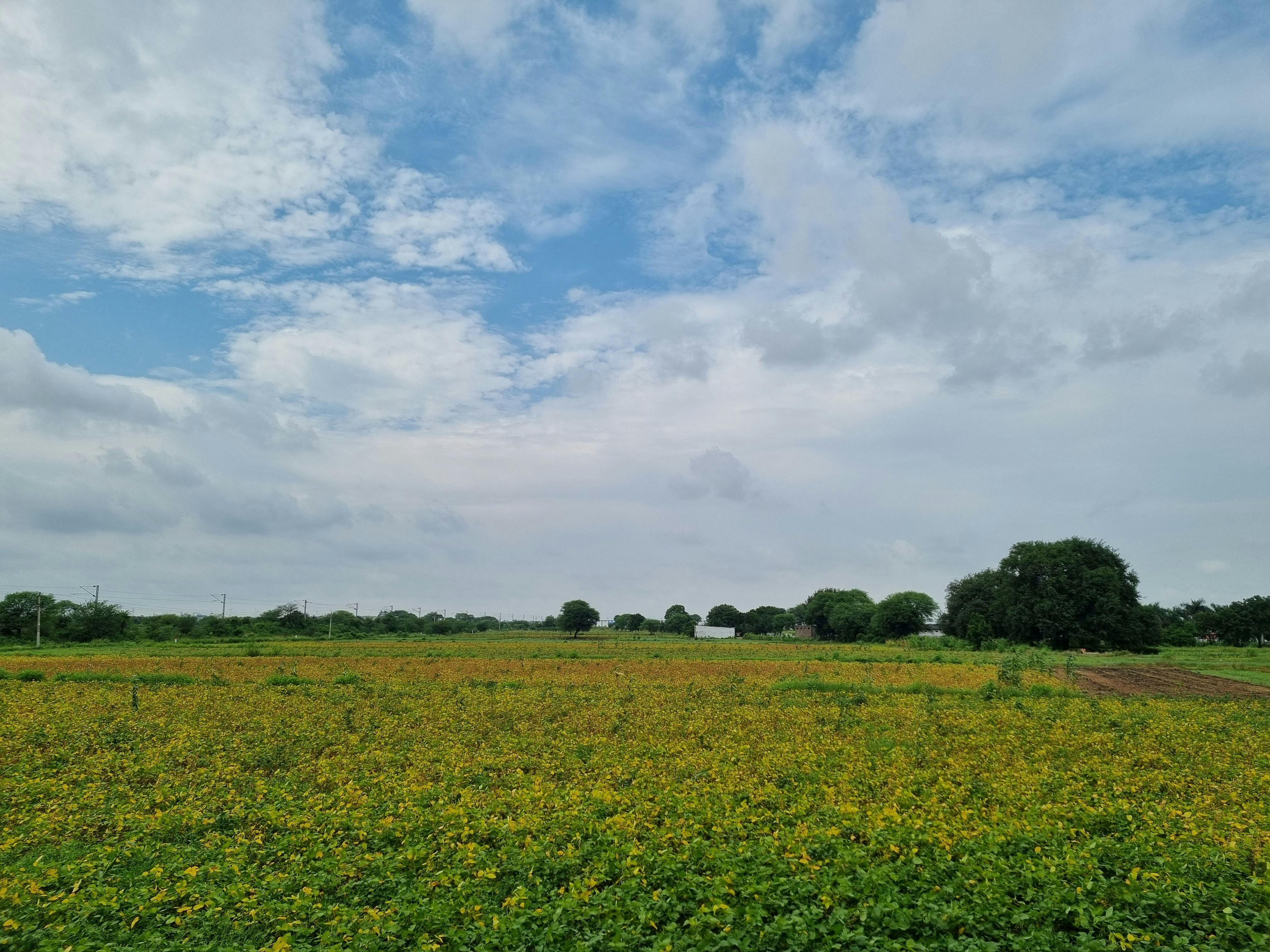 Photo by rishisanklecha