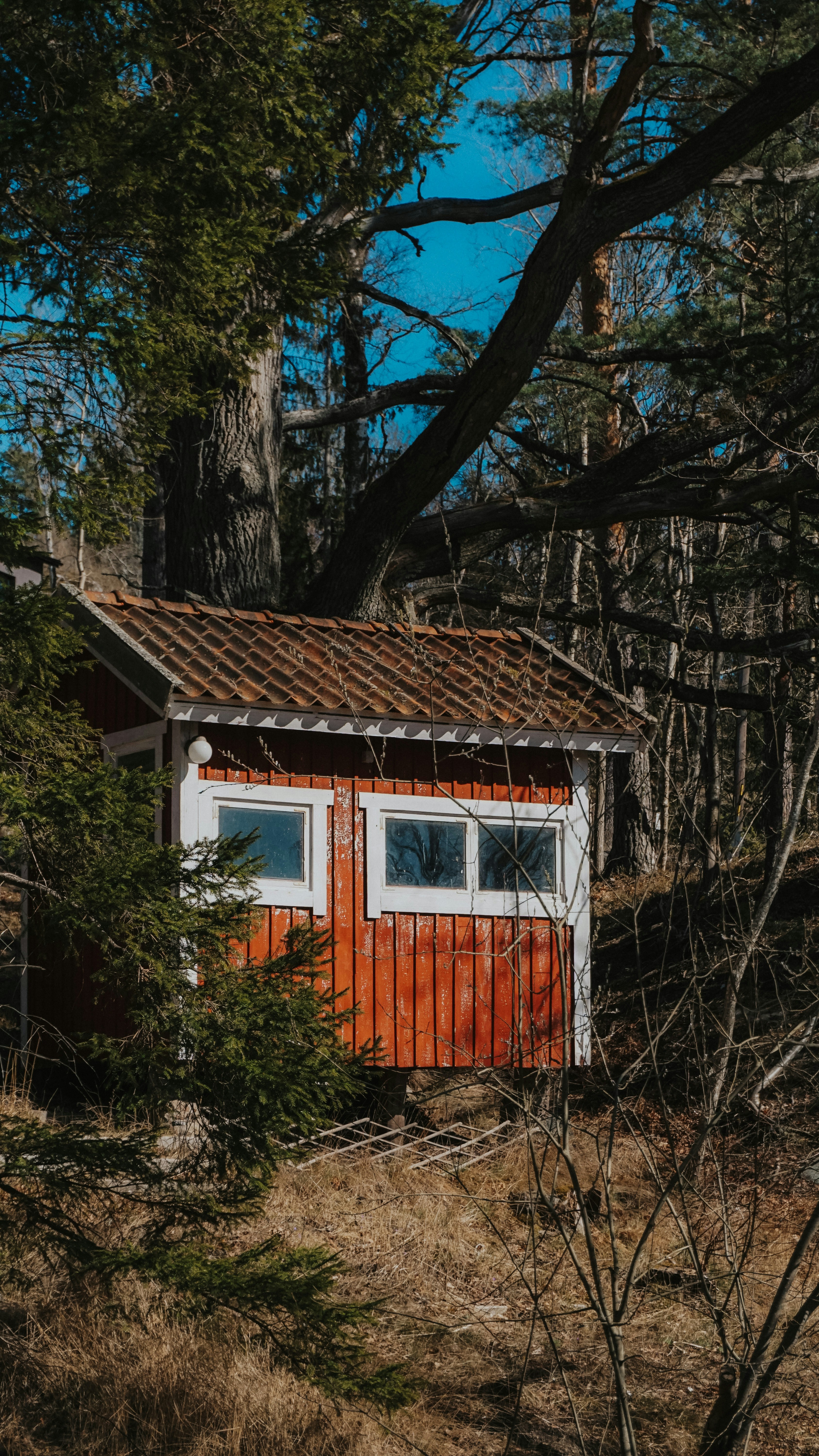 Photo by victoriagnatiuc