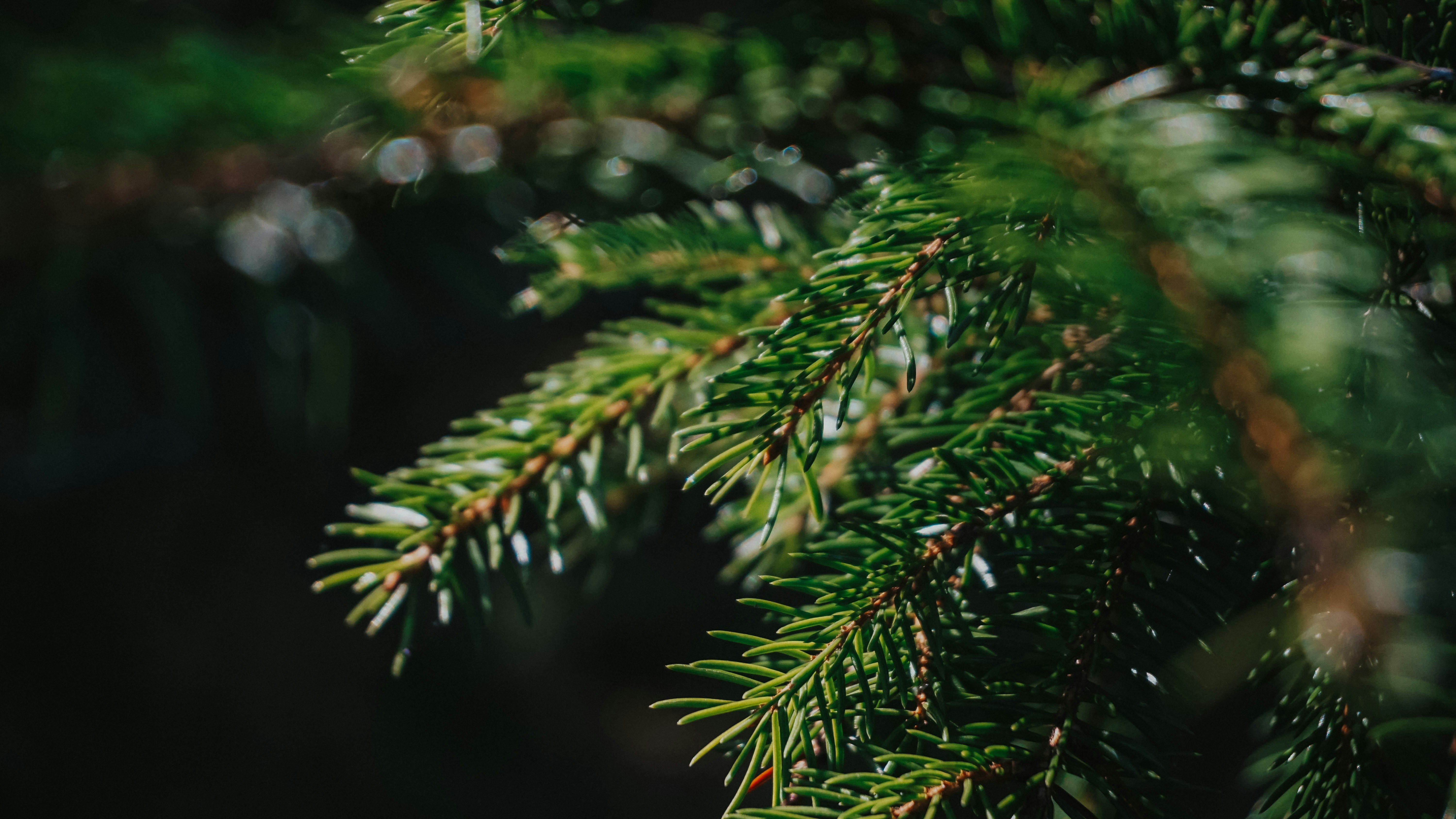 Photo by victoriagnatiuc