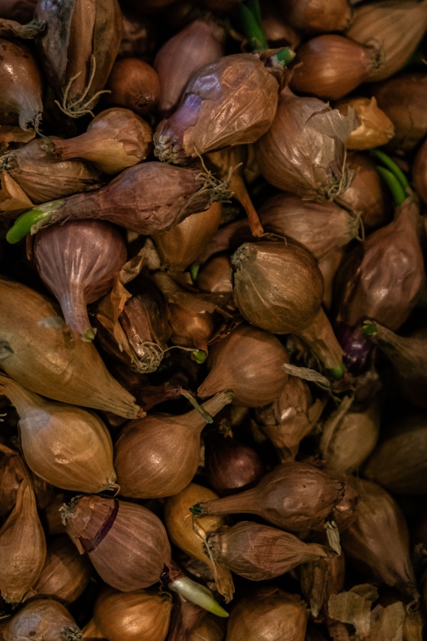 A pile of beets