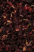 a pile of brown leaves