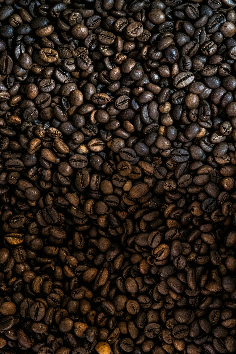 a pile of coffee beans