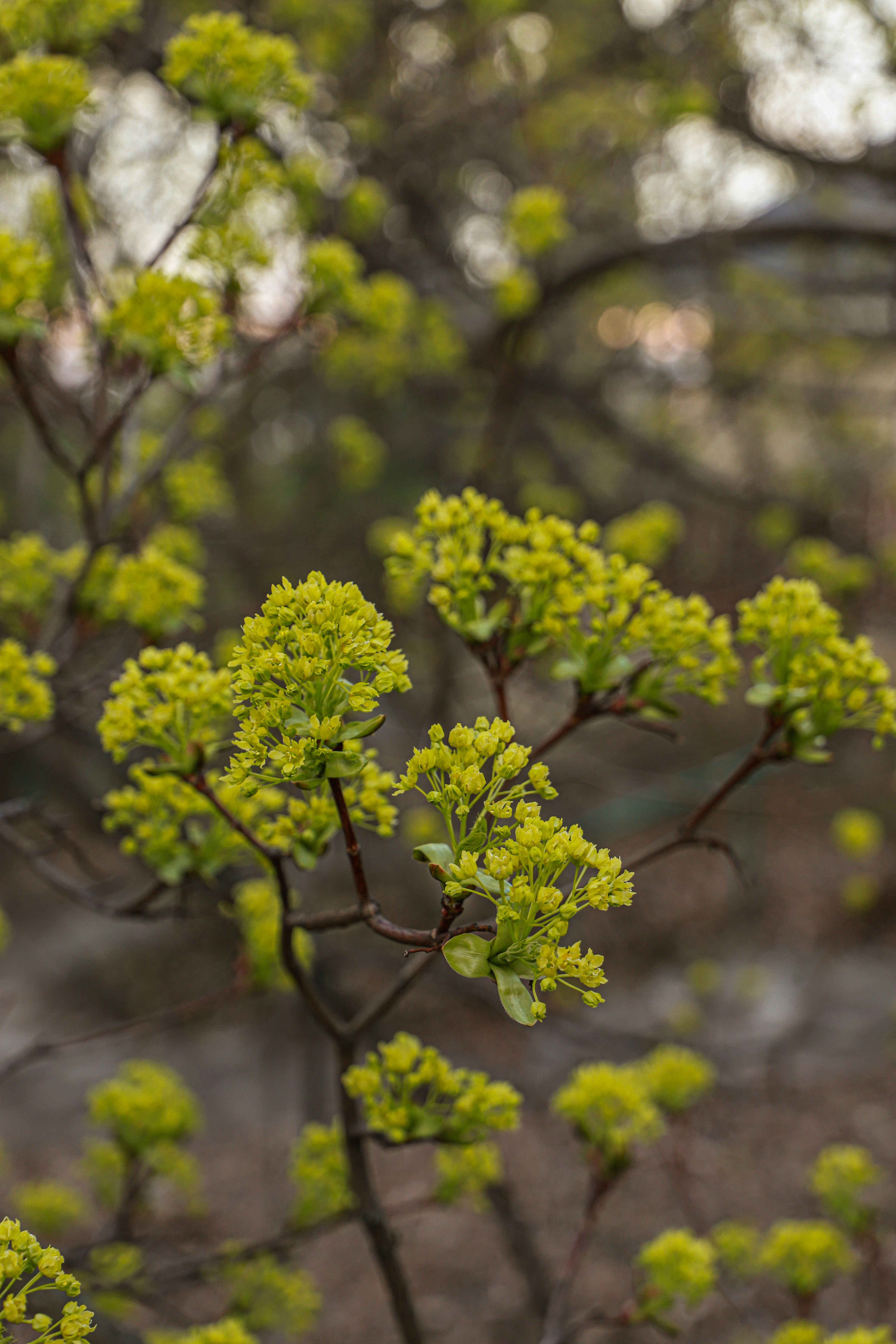 Photo by dariajungerbalint