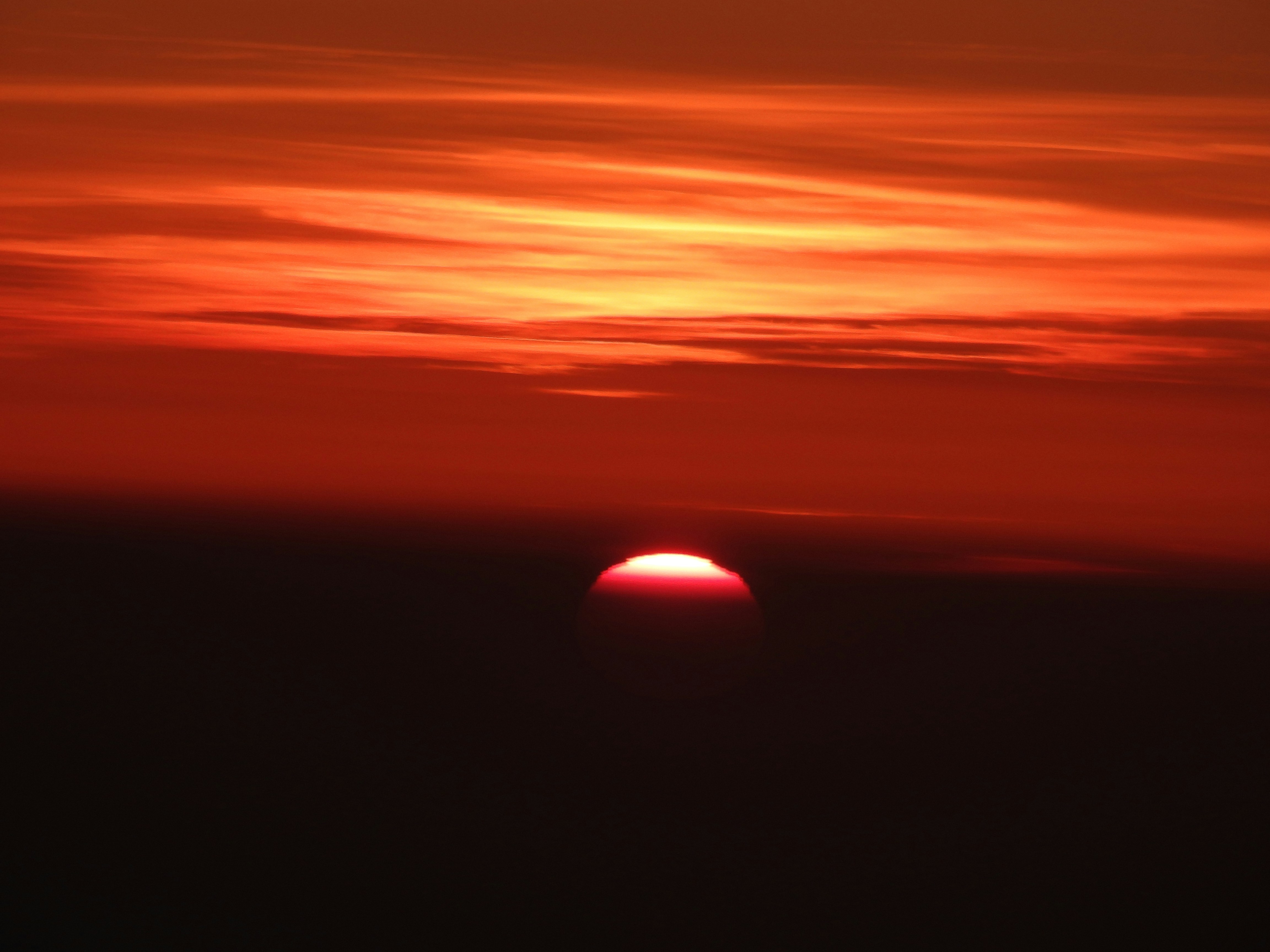 Photo by intelligenteye